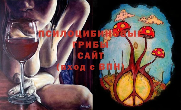 гидропоника Арсеньев