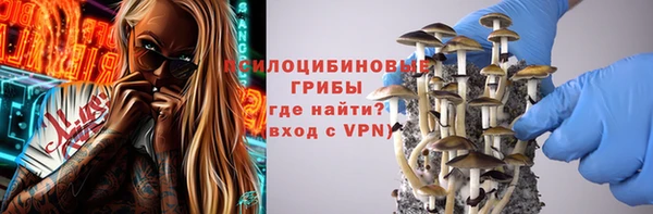 шишки Строитель