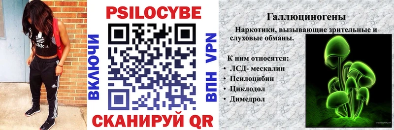 Псилоцибиновые грибы мухоморы  OMG вход  Удачный 